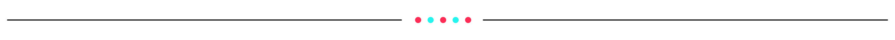 TTS Academy Section Divider.png